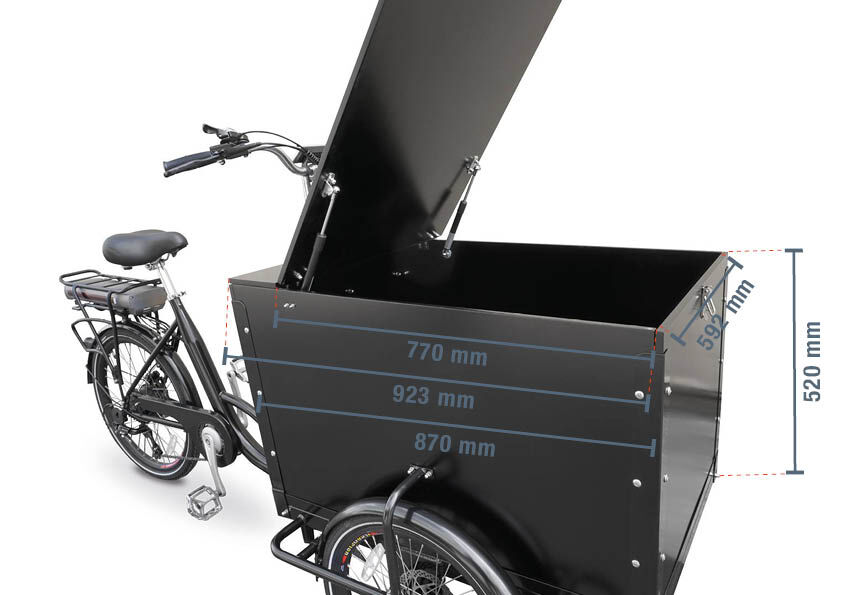 Solar cargo bike online