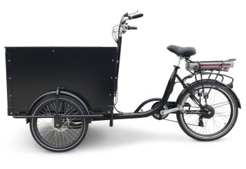 Bici ion 3 sales